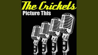 Music video thumbnail preview for Picture This by The Crickets