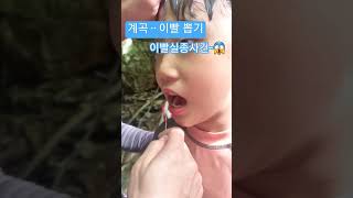 Download lagu 청도 계곡물놀이~ 이빨실종사건 ㅋㅋㅋ #청도계곡 #청도운문사계곡 #청도계곡캠핑 #청도생금비리쉼터#청도물놀이 #조카이빨뽑기 #치실 #shorts #fyp mp3