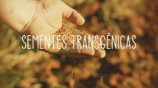 Agricultura e o Fim do Mundo, Capítulo VII - Sementes Transgênicas