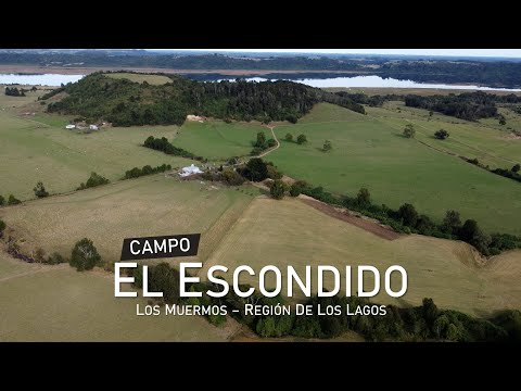 Campo en Los Muermos, El Escondido – Región de Los Lagos