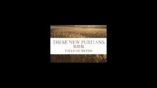 These new puritans - 2 fragments