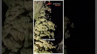 Imagine Being A Caveman