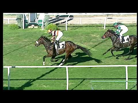 Galoppo 14/12/2020 - 1ª corsa