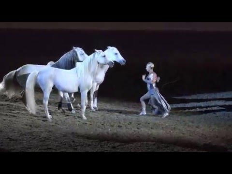 Liberty with 3 horses - Sylvia Zerbini - Night of the Horse 2016 - Del Mar National Horse Show