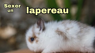 Les Lapins Cretins Invasion Mutation Cretine S4e46 الموقع الإلكتروني الأكثر شهرة لمشاركة مقاطع الفيديو الموسيقية Les Lapins Cretins Invasion Mutation Cretine S4e46 الموقع الإلكتروني الأكثر شهرة لمشاركة مقاطع الفيديو الموسيقية