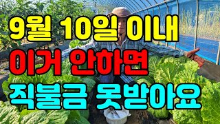 농업인 혜택 / 2022년 공익직불금 신고감액적용 준수사항 ,불이행시 최대22%감액