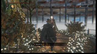 【Bloodborne】ちんくの聖杯ダンジョン【実況】#22