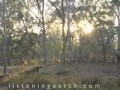 A morning in the Australian bush - nature sounds of ...