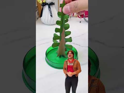 This is so funny, I couldn't stop laughing 😂😂 #funny #doddlersoftiktok #funnyvideos #duet