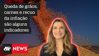 Hora H do Agro: Banco prevê ciclo de baixa para commodities no agronegócio