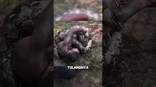 Download lagu Fighting a Giant Python with Your Bare Hands? mp3 Download lagu Fighting a Giant Python with Your Bare Hands? mp3