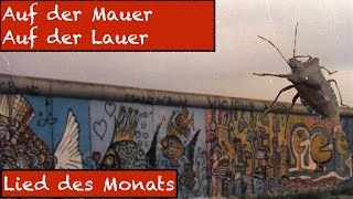 Auf der Mauer, auf der Lauer - Lied - Deutsch lernen