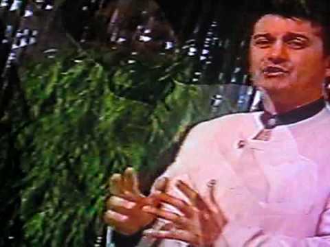 Riki Bisevac - Prokleta je tudjina