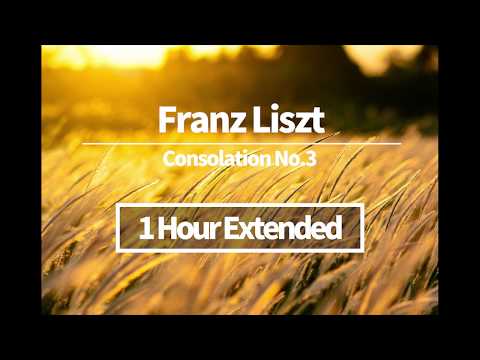 Liszt - Consolation No.3 (1 hour extended)