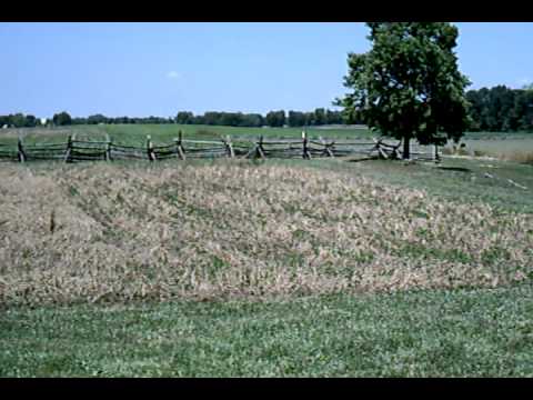 The Cornfield, Antietam