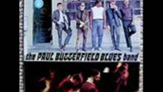 PAUL BUTTERFIELD BLUES BAND "BABY PLEASE DONT GO" LIVE