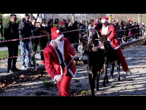 Božićna utrka magaraca u Čapljini: Eustahije odbranio titulu
