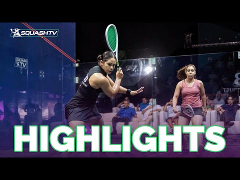 Sand Storm Shahin Troubles Favourite Hany 🌪 | CIB ZED Squash Open 2022 | QF HIGHLIGHTS!