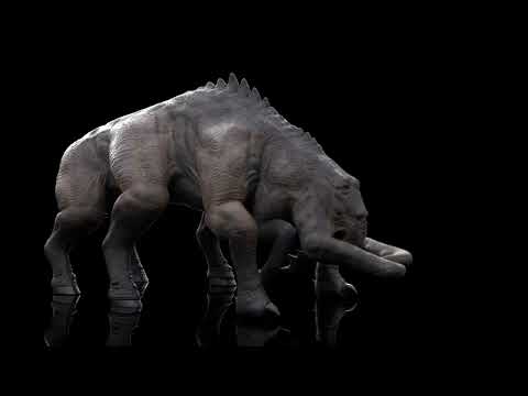 I Think There's Something Wrong With My Dog