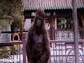 Comedy... Movie Gorilla dublle damaal