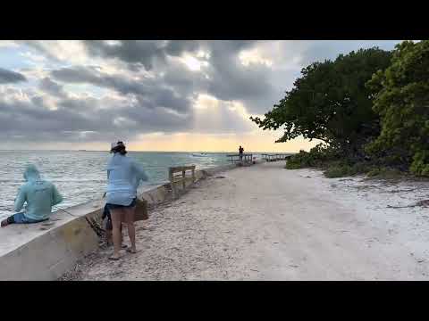 Miami beach experience