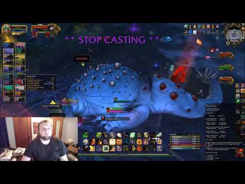 WoW-BFA-Stat of Ret Paladin Into 8.1