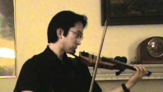 Free Bird Lynyrd Skynrd: Electric Violin /Amp Experiment