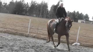 happy end e.ludwig von byern