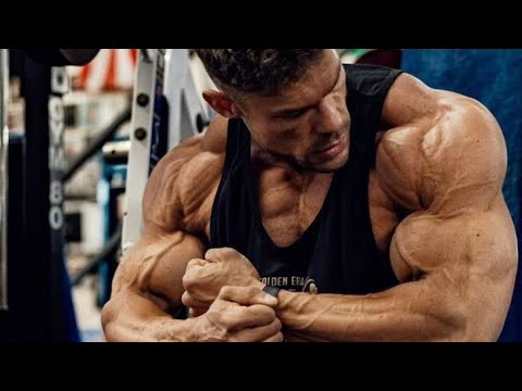 Shock Them With Results| Wesley Vissers motivation 🥵 2024