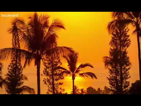 Black Sweet ~ Pusara Tak Bernama