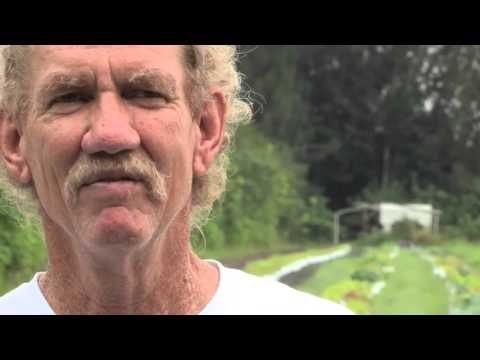 Organic Sound and Sensible Project - Marketing Opps