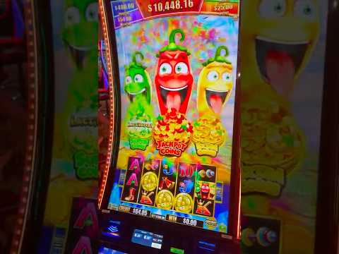 Buying the MAX Bonus on the Chili Lucha Slot! #slots #casino #lasvegas