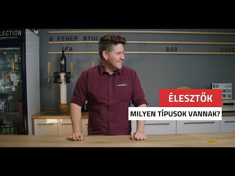 Milyen élesztő típusok vannak? | BEERSELECTION.HU
