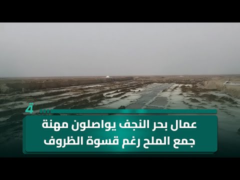 فيديو | عمال بحر النجف يواصلون مهنة جمع الملح رغم قسوة الظروف