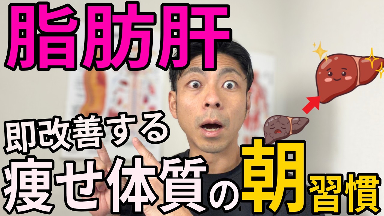 【警告】そのダイエット、肝臓が壊れていたら一生痩せません。脂肪肝を治して代謝を爆上げする方法