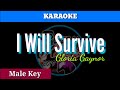 I Will Survive by Gloria Gaynor (Karaoke : Male Key)