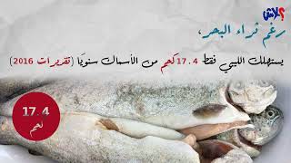 الموسم الثاني : عندك علم الحلقة ( 14 ) :  بين 304 نوعًا من الأسماك و27 مليون دولار فقط: أين تتبدد ثروة ليبيا البحرية؟