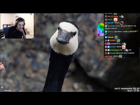 xQc Reacts to Chick Jumps Off Cliff | Life Story | BBC Earth