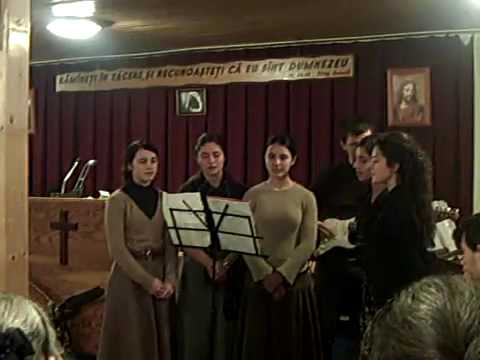 Grup Baia Mare -  Domn al vesniciei