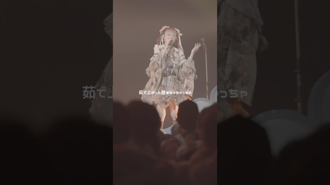 今日は猫の日🐱 #水曜日のカンパネラ #wednesdaycampanella #赤猫 #猫の日 #ライブ映像 #shortvideo #shorts