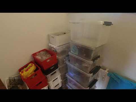 MongoTV_6236 - Kigger På Flyttekasser i Forstue Stået 7 År - Del 46 - Flytter Plastkasser