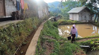 Download lagu Suasana Aktivitas Pagi Hari Bersama Emak & Abah | Suasana Pedesaan Sunda, Garut Peundeuy Pangrumasan mp3