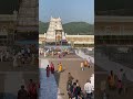 Tirumala Tirupati Temple Andhra Pradesh Part 6 Shorts