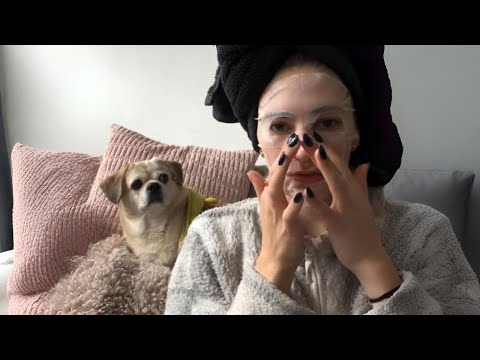 The Last Dog Left at the Shelter… and the One Who Chose Me