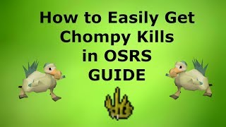 How to Get Chompy Kills (150-200 Hour) in OSRS