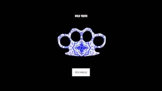 Steve Angello -Tiger
