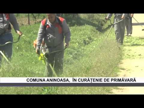 Comuna Aninoasa, in curatenie de primavara - www.columnatv.ro