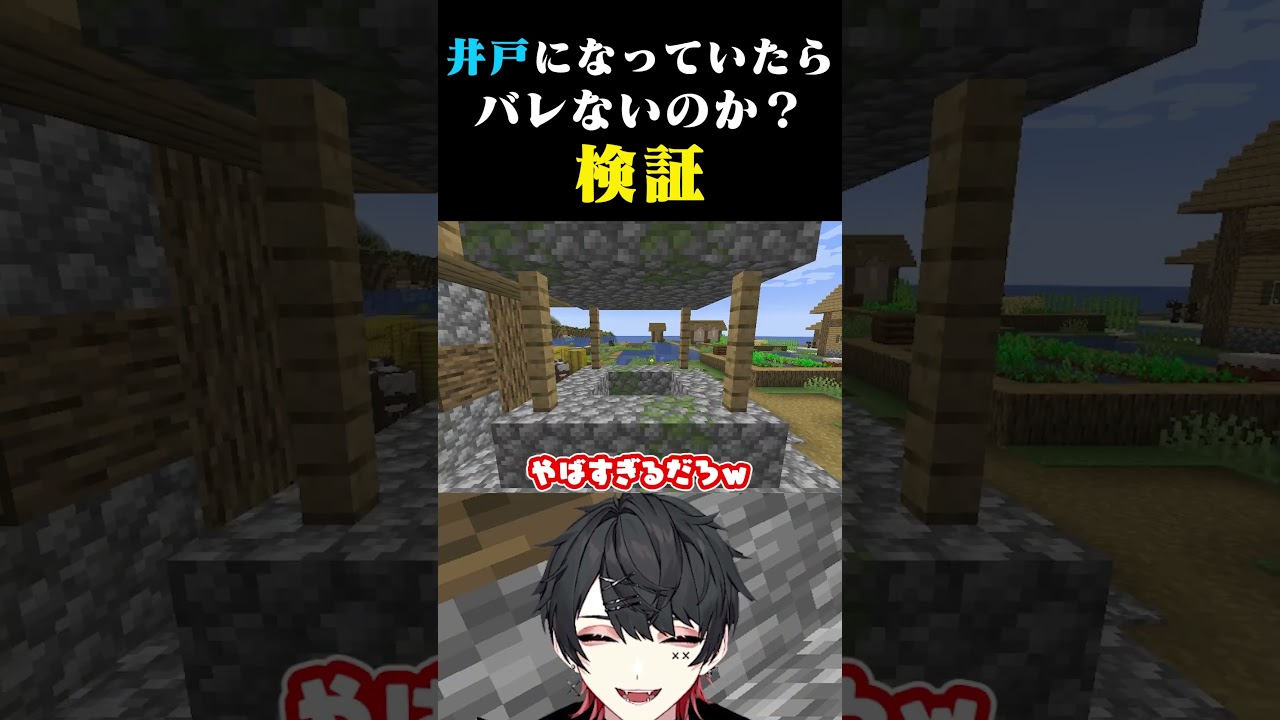 【ドッキリ】"かくれんぼ"井戸に変身したら一生見つからない説ｗｗ #マインクラフト #マイクラ