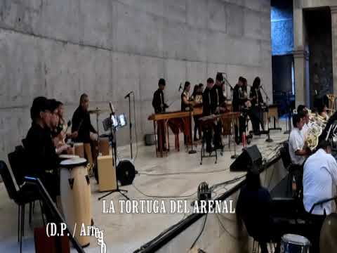 OIPMAC Y OTCDMX "LA TORTUGA DEL ARENAL" (D.P. / Arreglo y Orquestación: Javier Nandayapa)