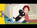 Incredible Dog Stories From Pets And Guide Dogs To Brave Heroes Little Fox